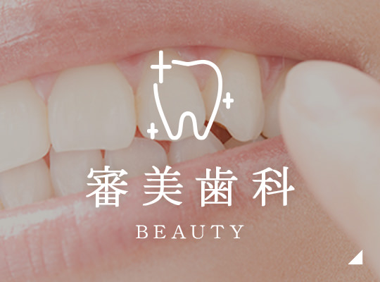 審美歯科 beauty
