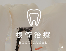 根管治療 root canal