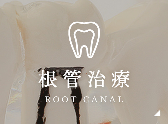 根管治療 root canal