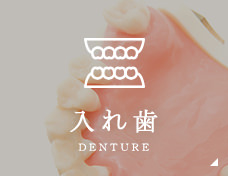 入れ歯 Denture