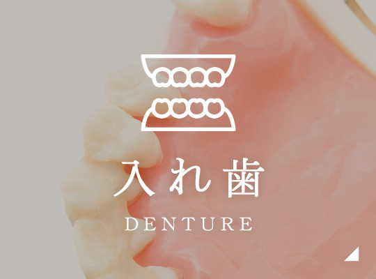 入れ歯 Denture